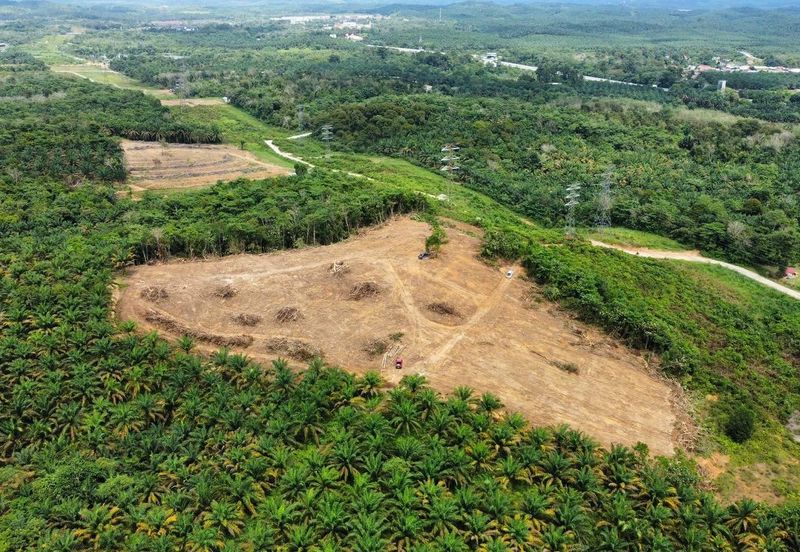 9 Ekar Residential Land ( 44 Geran Individu )  Kg Seri Serigala ,Ulu Bernam, Selangor