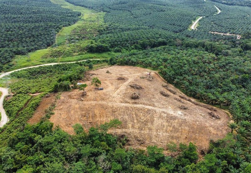 9 Ekar Residential Land ( 44 Geran Individu )  Kg Seri Serigala ,Ulu Bernam, Selangor