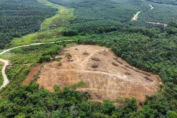 9 Ekar Residential Land ( 44 Geran Individu )  Kg Seri Serigala ,Ulu Bernam, Selangor