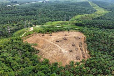 9 Ekar Residential Land ( 44 Geran Individu )  Kg Seri Serigala ,Ulu Bernam, Selangor