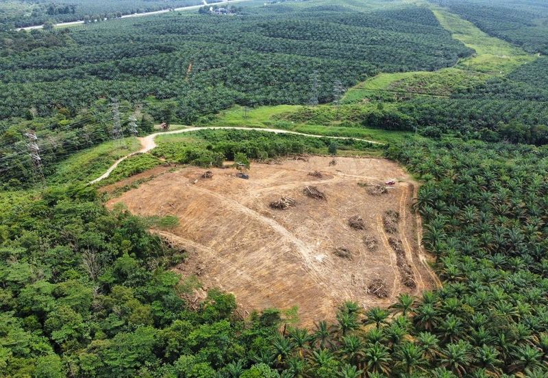 9 Ekar Residential Land ( 44 Geran Individu )  Kg Seri Serigala ,Ulu Bernam, Selangor