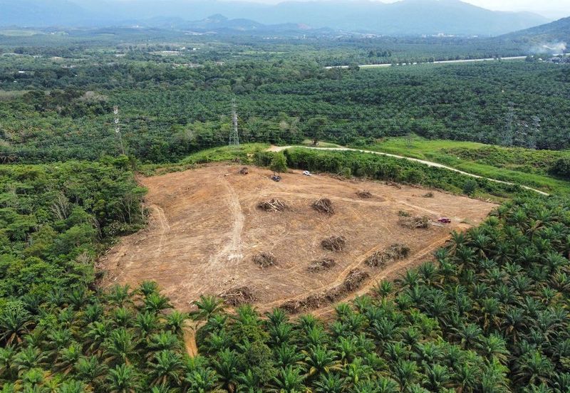 9 Ekar Residential Land ( 44 Geran Individu )  Kg Seri Serigala ,Ulu Bernam, Selangor