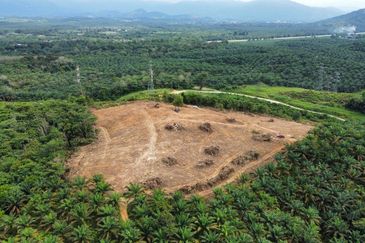 9 Ekar Residential Land ( 44 Geran Individu )  Kg Seri Serigala ,Ulu Bernam, Selangor