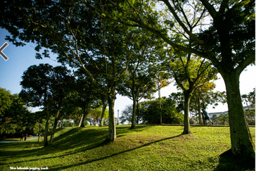 Residensi AVA @ Kiara Bay