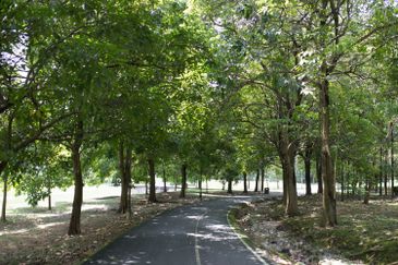 Residensi AVA @ Kiara Bay