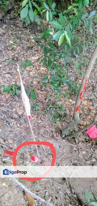 Teluk Tempoyak, Seberang Perai, Penang Industrial Land For Sale SPACIOUS, Penang, Seberang Perai