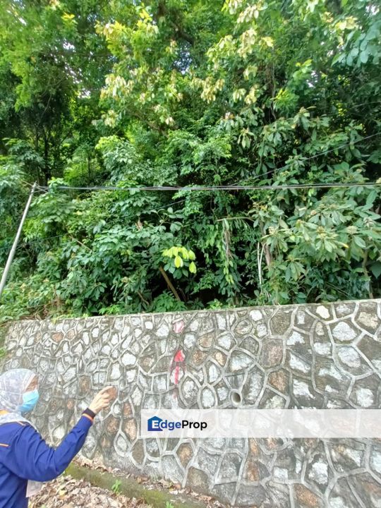 Teluk Tempoyak, Seberang Perai, Penang Industrial Land For Sale SPACIOUS, Penang, Seberang Perai