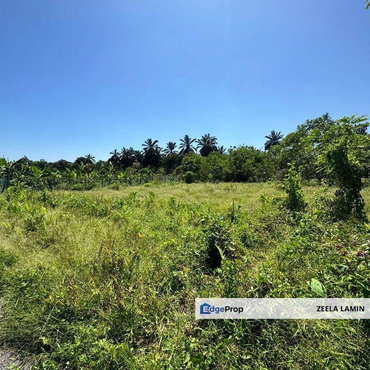Labu Lanjut Sepang Tanah Lot Untuk Dijual, Selangor, Sepang