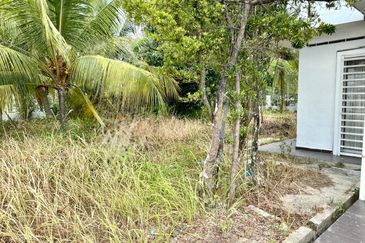 The Bromelia @ Bandar Seri Coalfields