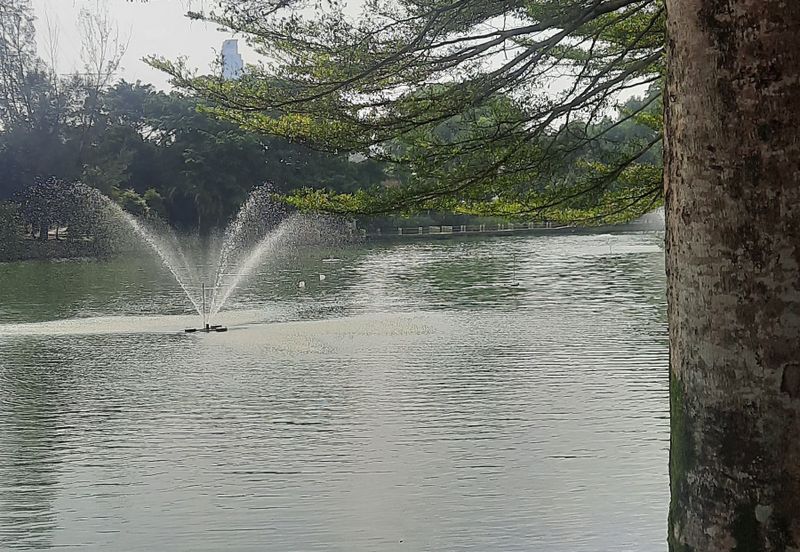 Seksyen 14, Petaling Jaya