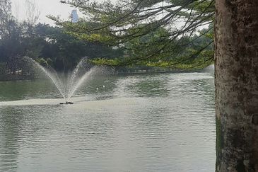 Seksyen 14, Petaling Jaya