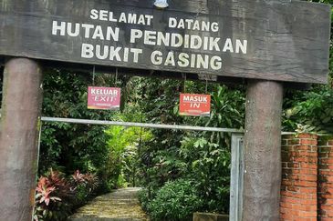 Bukit Gasing