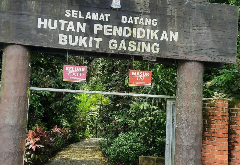 Bukit Gasing