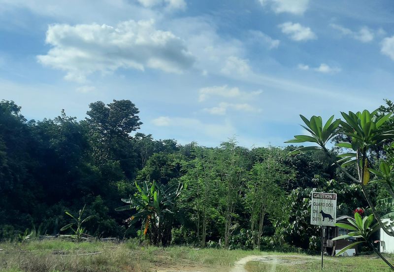 Tropicana Golf & Country Resort