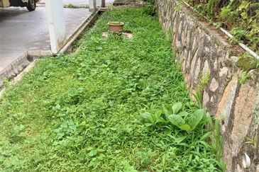 Taman Tun Dr Ismail (TTDI)