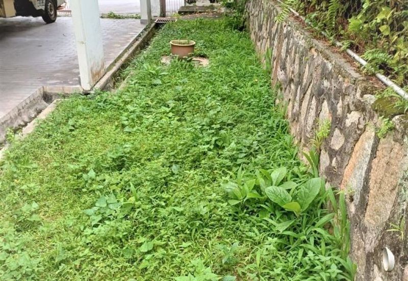 Taman Tun Dr Ismail (TTDI)