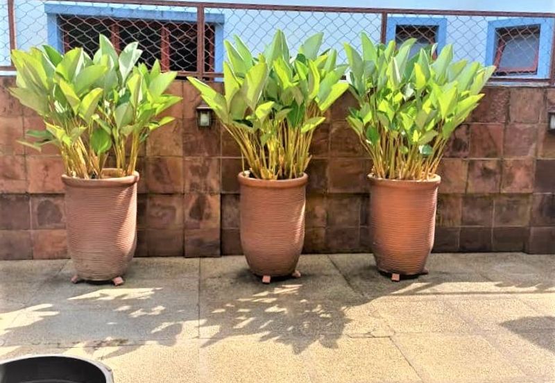 Tropicana Golf & Country Resort