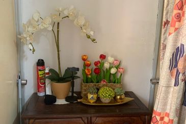 Sri Melor (Mulberry Court) Apartment, Ukay Perdana