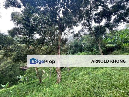 Malay Reserve Agriculture land for Sale @ Serdang, Seri Kembangan, Selangor, Seri Kembangan