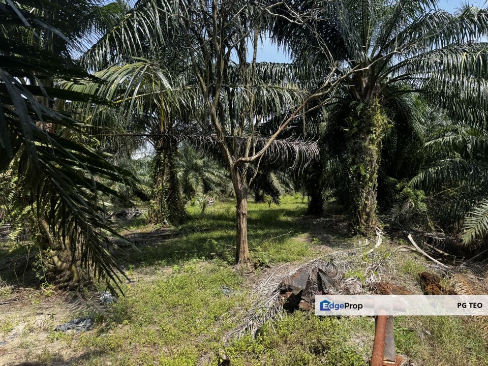 Zoning Industrial Land @ Jeram, Kuala Selangor, Selangor, Kuala Selangor