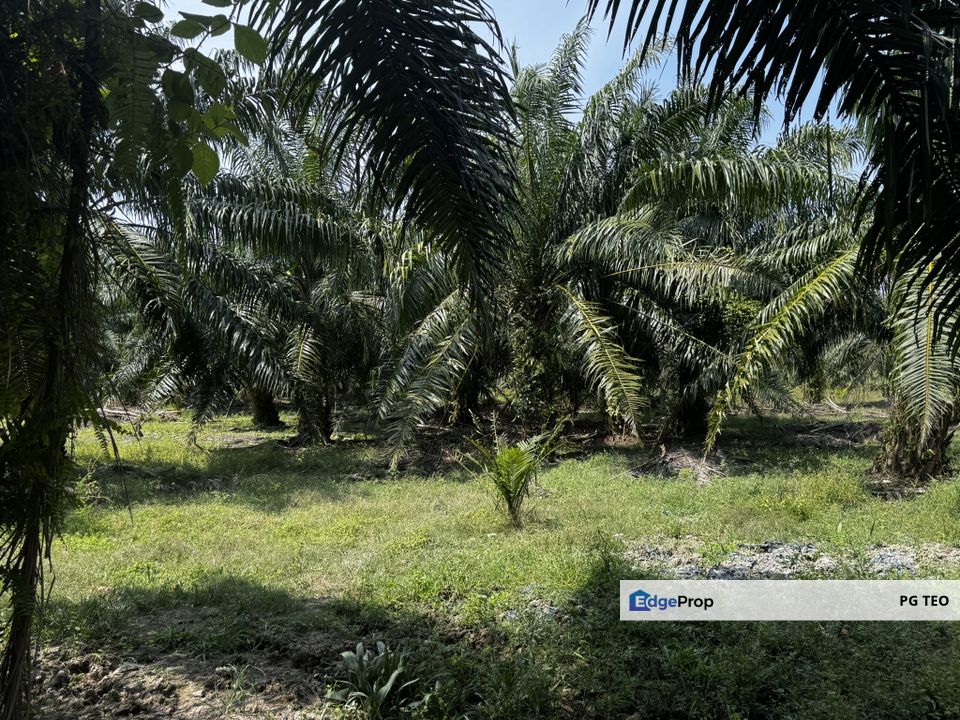 Zoning Industrial Land @ Jeram, Kuala Selangor, Selangor, Kuala Selangor