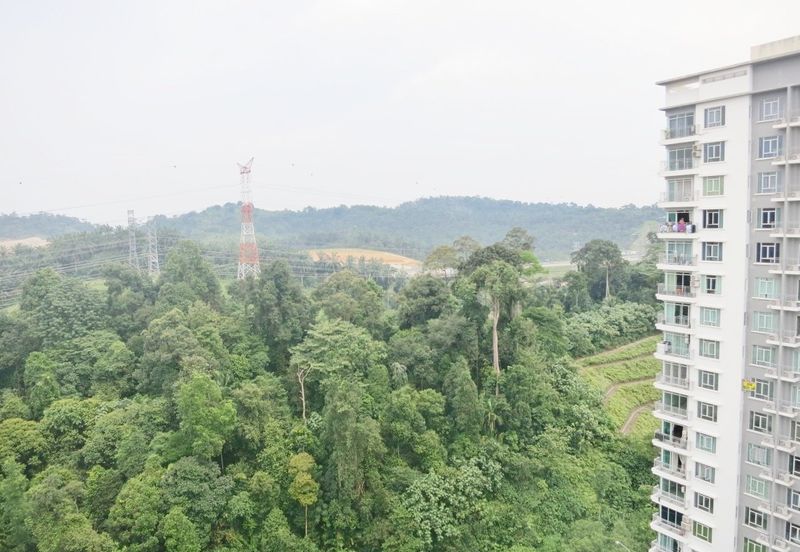 Springville Residence