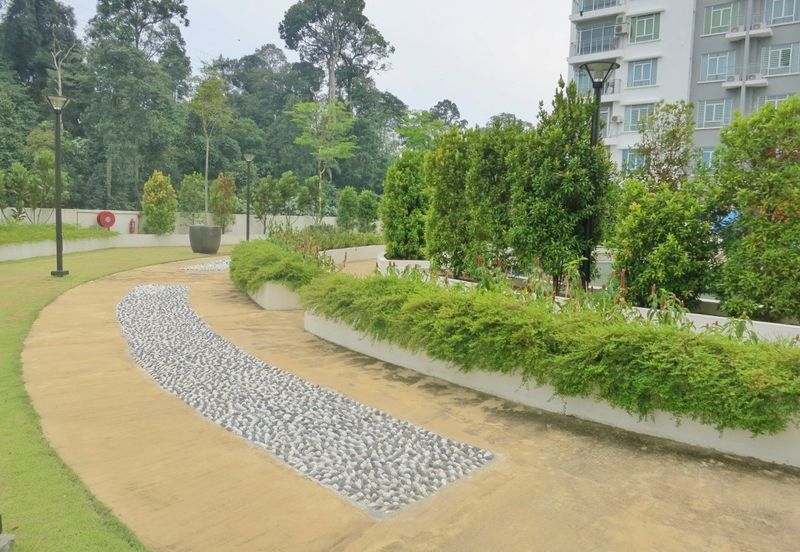 Springville Residence