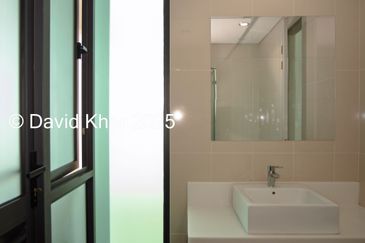 The Light Collection II