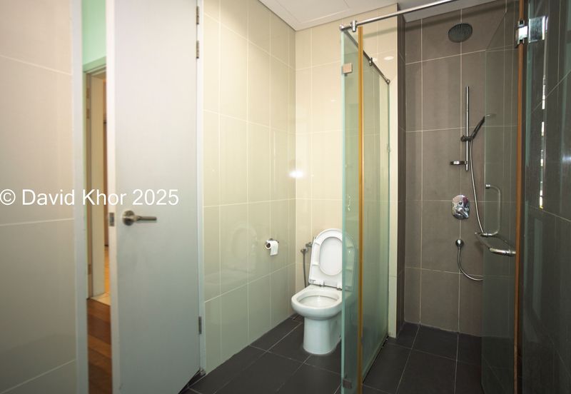 The Light Collection II