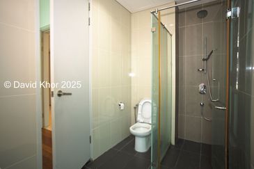 The Light Collection II