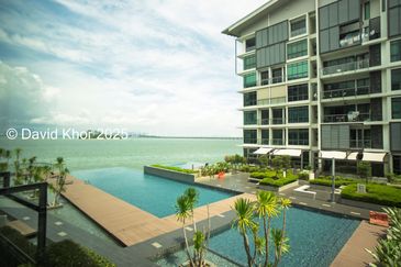 The Light Collection II