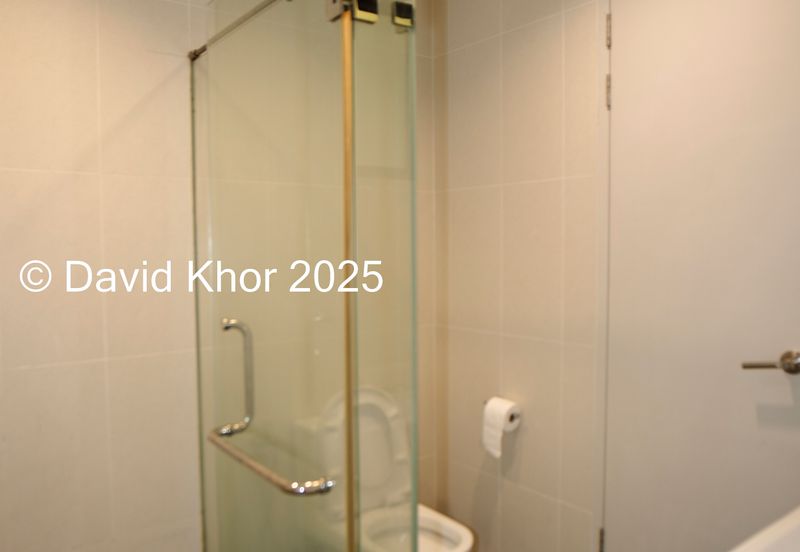 The Light Collection II