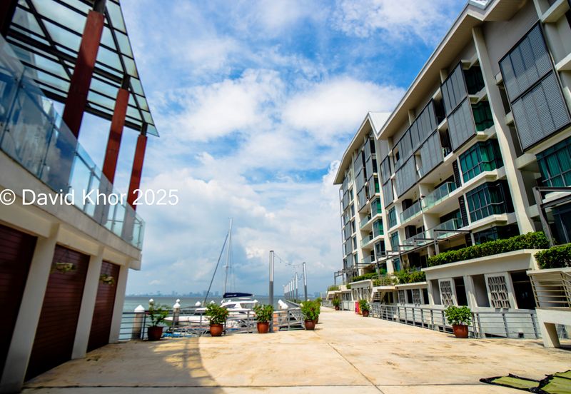 The Light Collection II