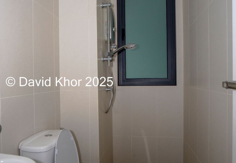 The Light Collection II