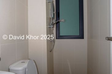 The Light Collection II