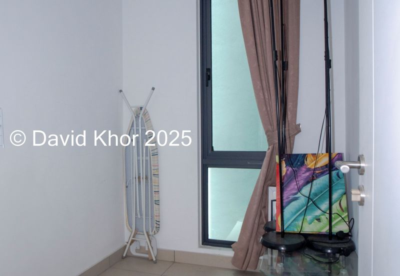 The Light Collection II