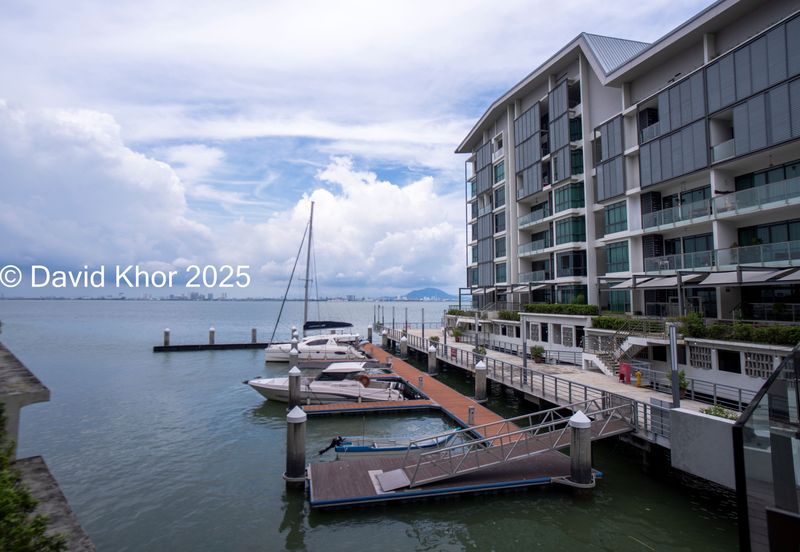 The Light Collection II