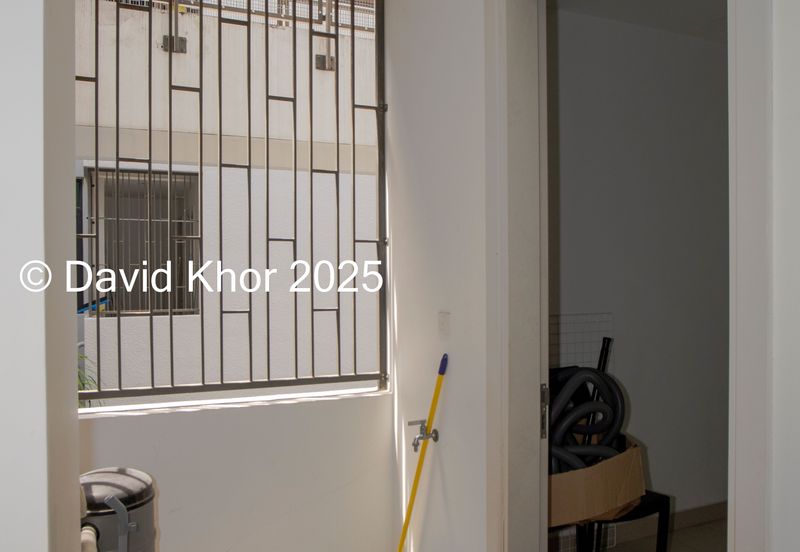 The Light Collection II