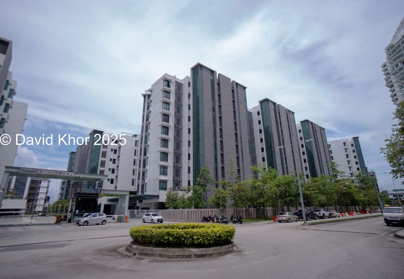 The Light Collection II