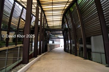 The Light Collection II