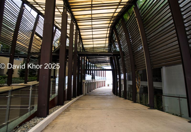 The Light Collection II