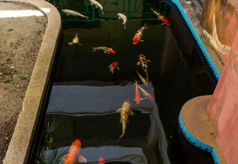 Pangsapuri Seri Molek