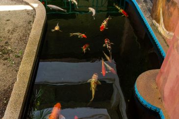 Pangsapuri Seri Molek