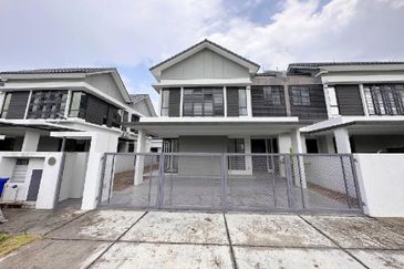 Reesia Elmina Garden