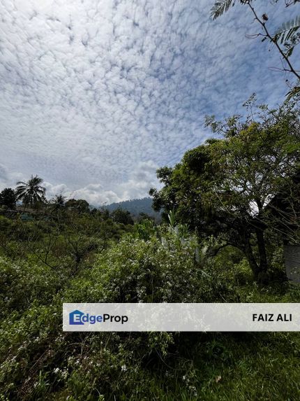 Tanah di Janda Baik, Pahang, Bentong