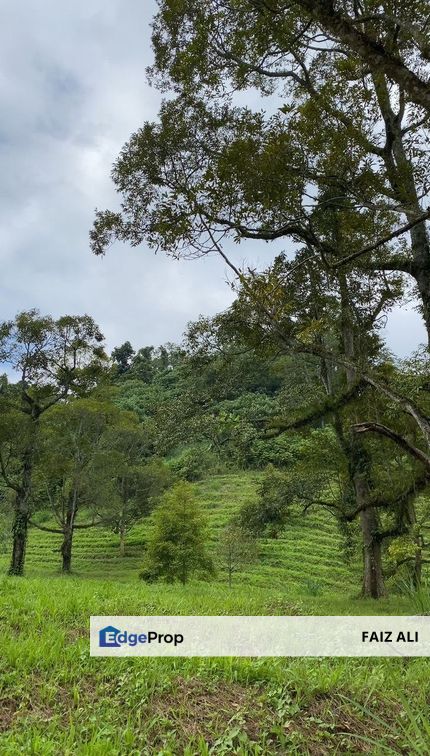 Tanah di Janda Baik, Pahang, Bentong