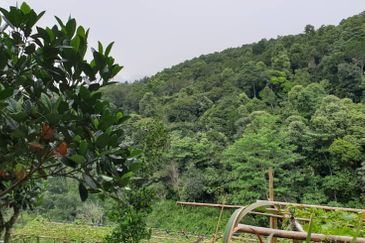 120 acres Setapak Land For SALE