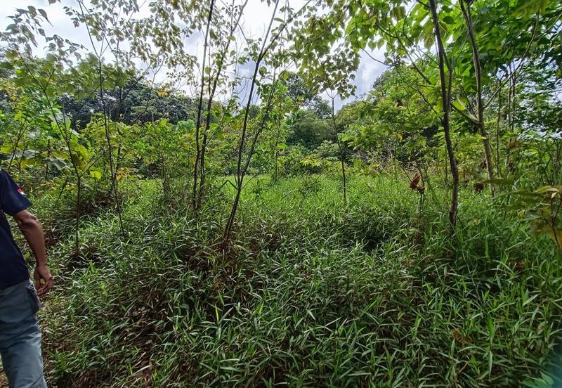 Kampung Sungai Pelong