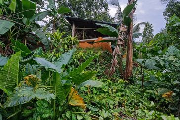 Kampung Kenanga, Rawang