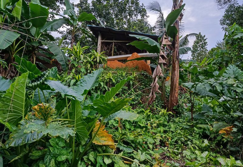 Kampung Kenanga, Rawang